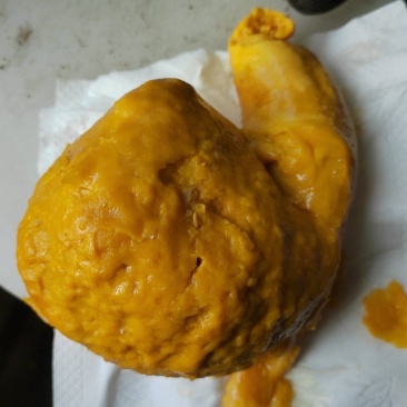 鸡宝