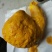 鸡宝
