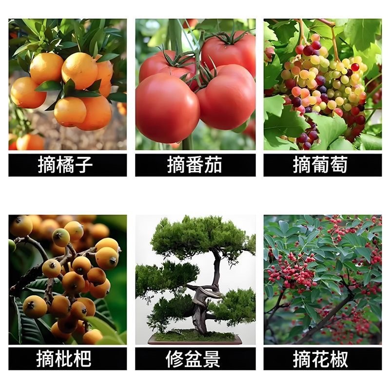 专用园林剪子大全修枝剪园艺采摘果子剪苗圃花卉柑橘水果