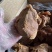 【熟牛肉】五香牛肉块酱香牛肉块纯真牛肉熟食品