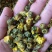 胎菊正宗胎菊王新货无硫真正的桐乡胎菊诚信经营批发