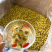 胎菊正宗胎菊王新货无硫真正的桐乡胎菊诚信经营批发
