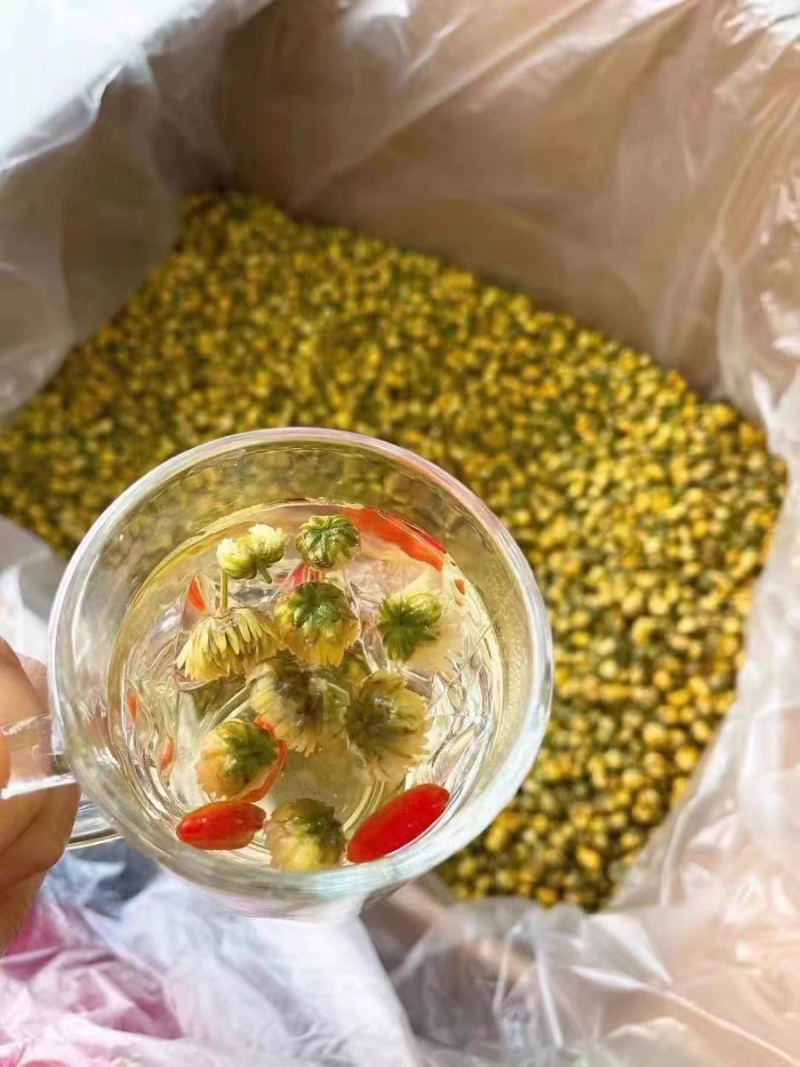 胎菊正宗胎菊王新货无硫真正的桐乡胎菊诚信经营批发