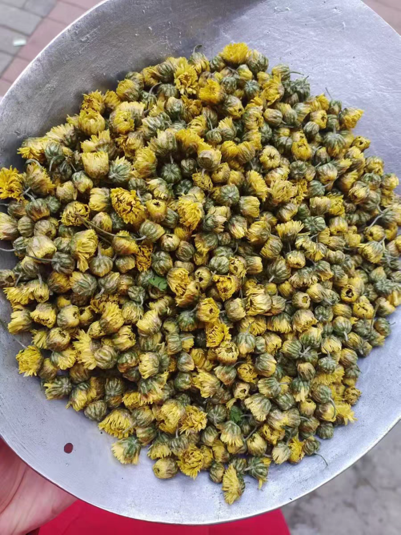胎菊正宗胎菊王新货无硫真正的桐乡胎菊诚信经营批发