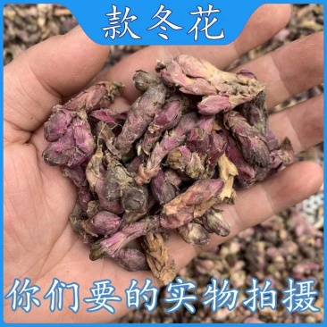 款冬花新货无硫款冬花干货保质保量诚信经营假一赔十