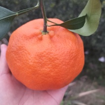 甘平