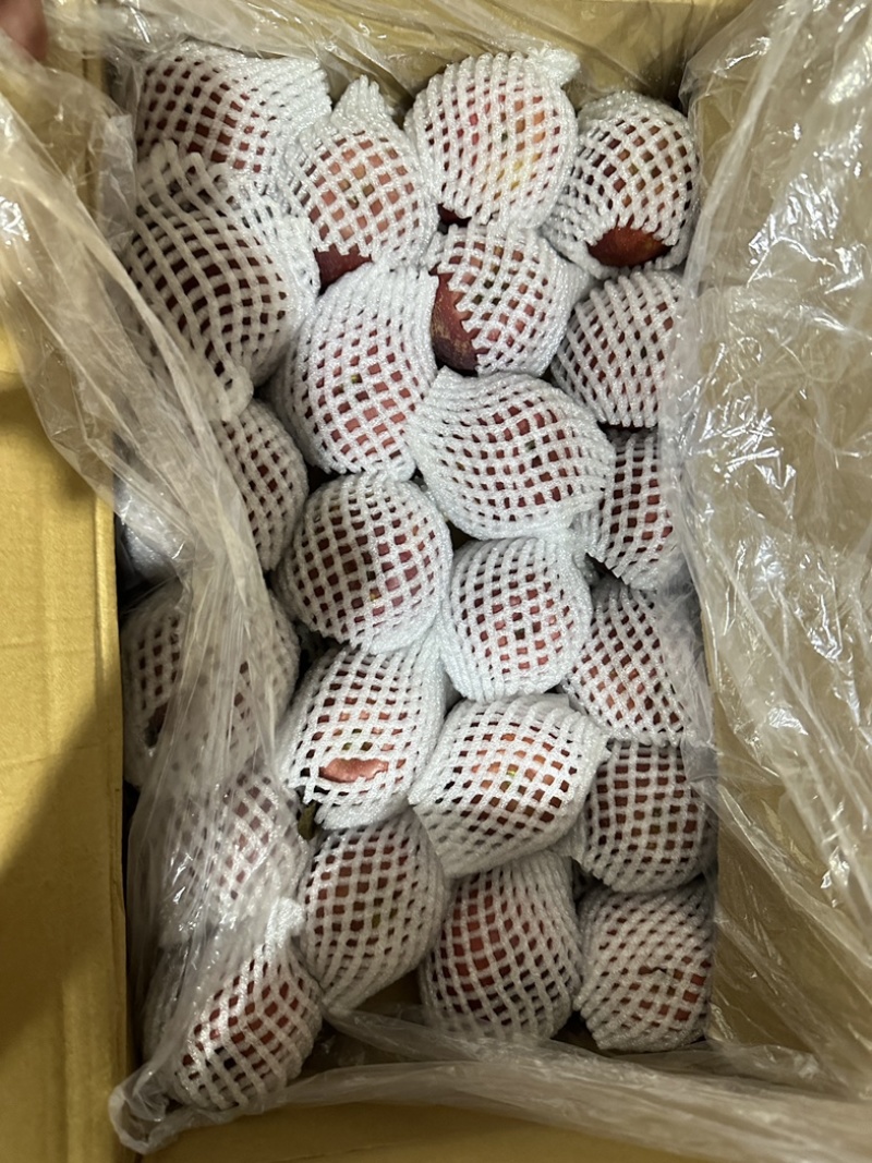 出售原箱5万斤大凉山红富士冰糖心丑苹果