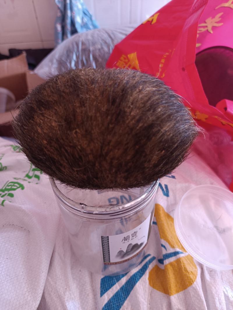 猪宝云南大理猪宝，精品货，阴干完成，质量保证，上等货