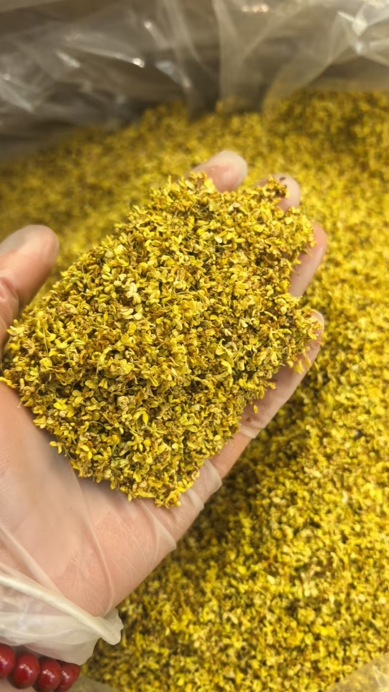 干桂花新货无硫熏桂花特级桂花茶广西桂花花草茶