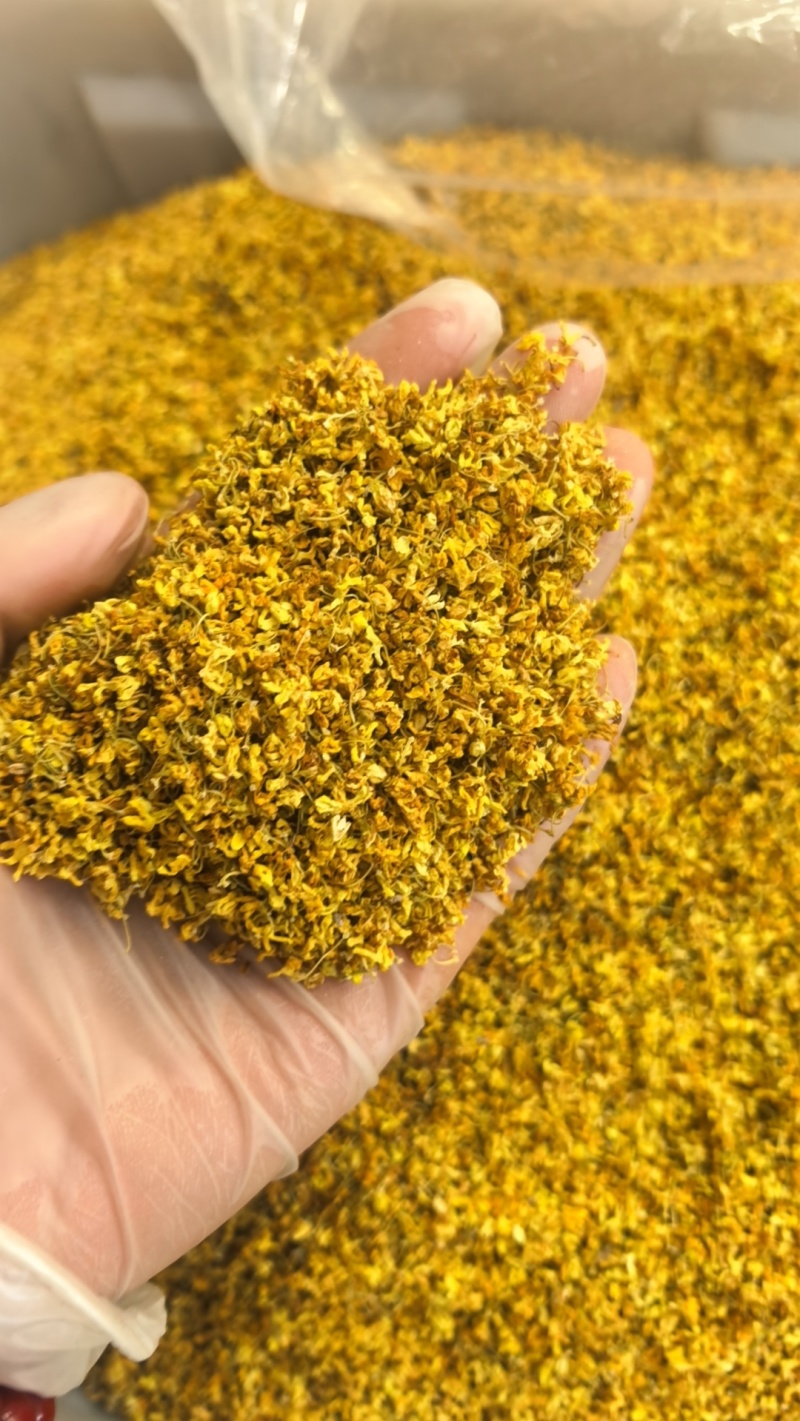 干桂花新货无硫熏桂花特级桂花茶广西桂花花草茶