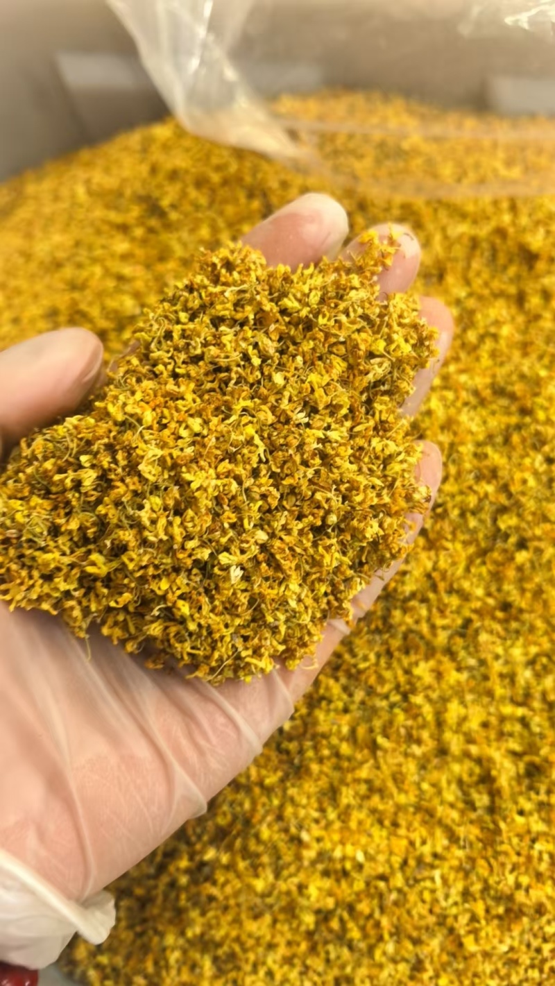 干桂花新货无硫熏桂花特级桂花茶广西桂花花草茶