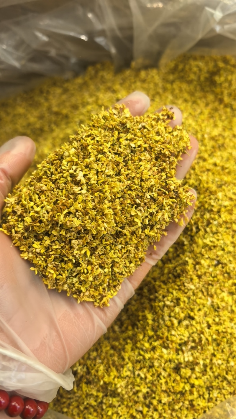 干桂花新货无硫熏桂花特级桂花茶广西桂花花草茶