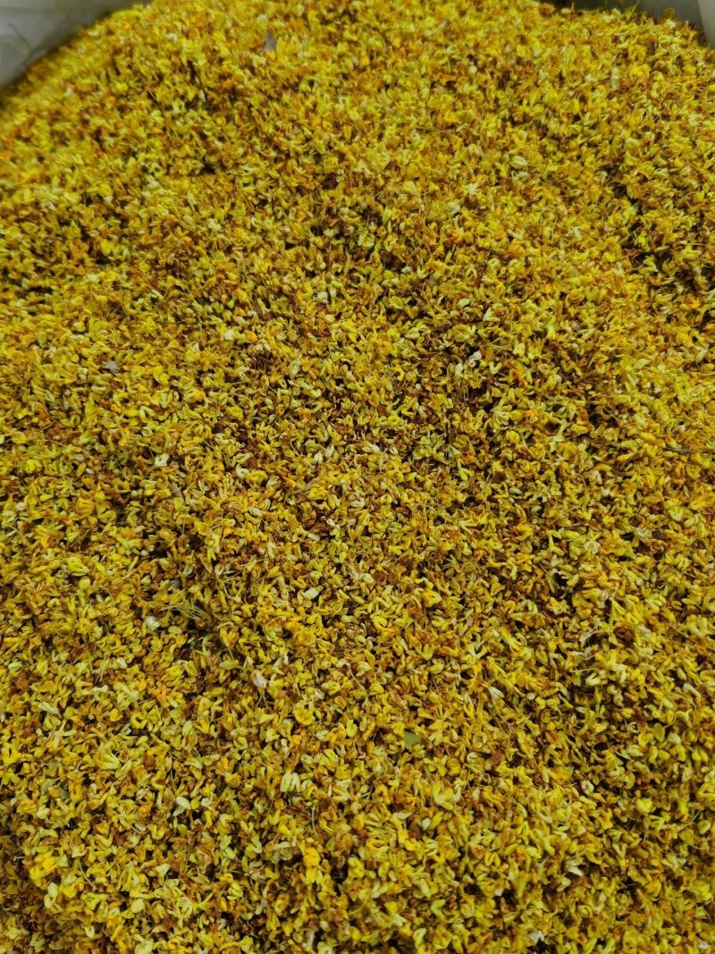 干桂花新货无硫熏桂花特级桂花茶广西桂花花草茶