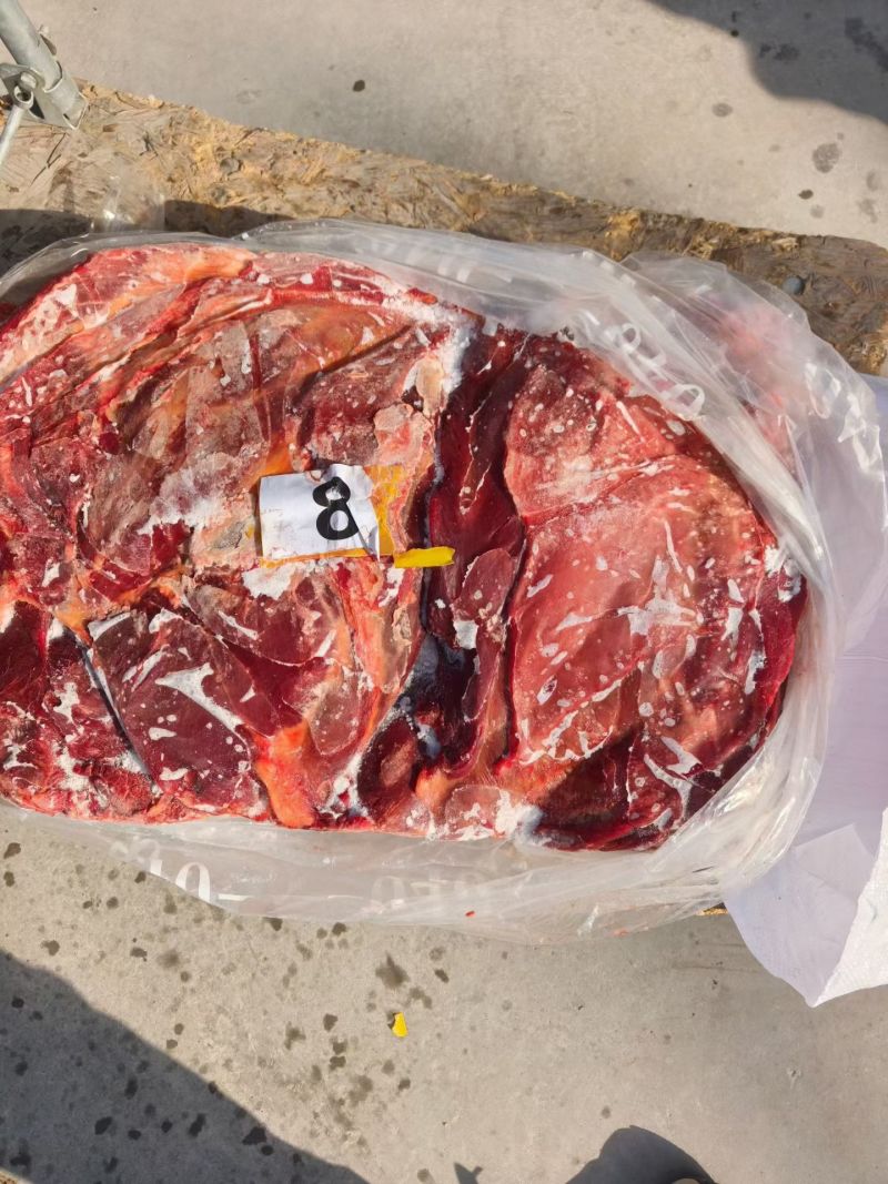 精修马肉五分体精品货一级棒，有需要的老板请联系，价格美丽