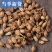 佛手花中药材正品冷背佛手干花天然无硫熏***