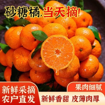 砂糖橘产地直供各类柑橘品种多样皮薄肉厚湖南砂糖橘