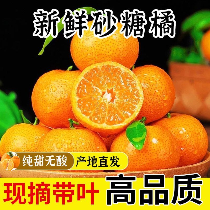 砂糖橘产地直供各类柑橘品种多样湖南砂糖橘永州砂糖