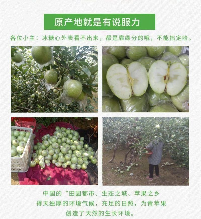 烟台王林苹果雀斑美人青森苹果脆甜抖音直播团购天猫一件代发