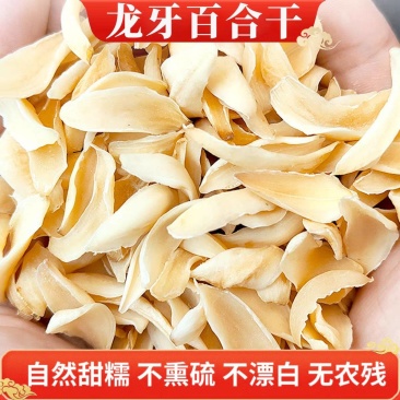 龙牙百合纯正无硫精品龙牙百合干保真正品诚信经营