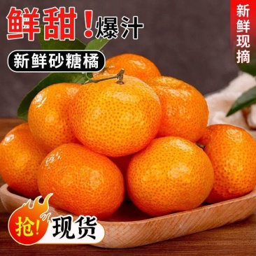 砂糖橘产地直供各类柑橘品种多样湖南砂糖橘永州砂糖