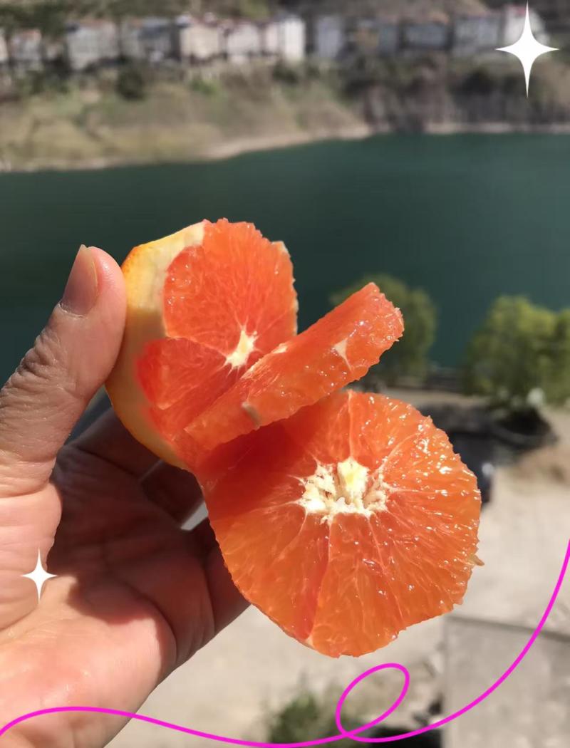 湖北秭归中华红橙，对接电商商超，一件代发包邮到家，欢迎