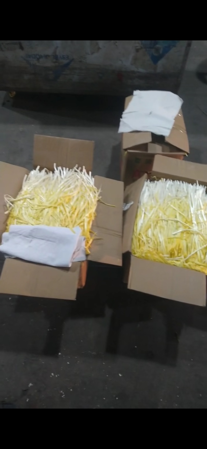 江苏丰县韭黄精品头刀黄韭
