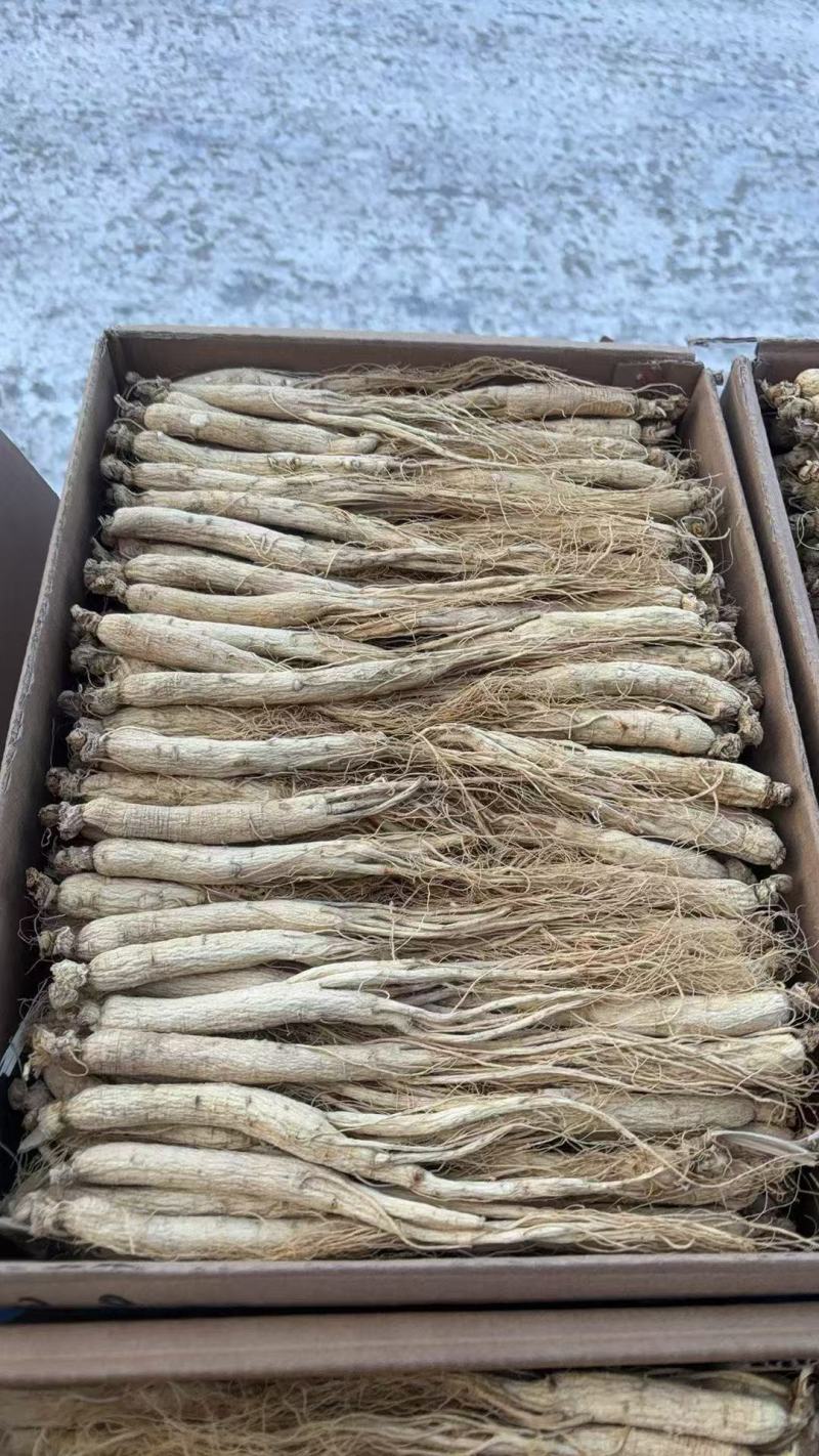 【正宗长白山】生晒参500克整盒干人参批发泡酒煲汤