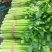 南阳芹菜色泽鲜亮、形态规整，无病斑、虫眼、腐烂变质；水果