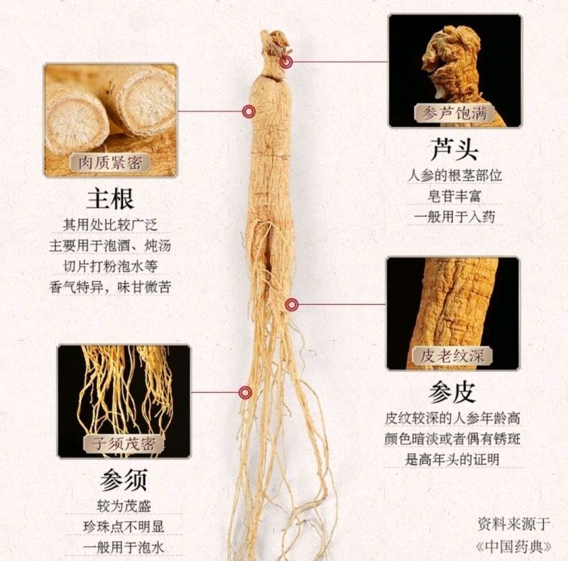 精选【正宗长白山】生晒参500克整盒干人参批发泡酒煲汤