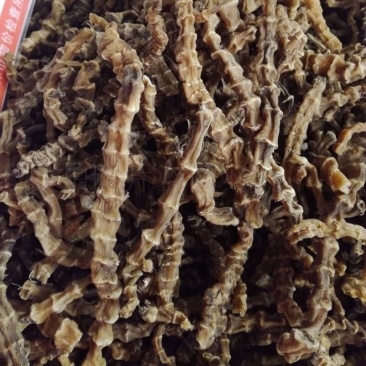 地参中药材虫草参干货批发