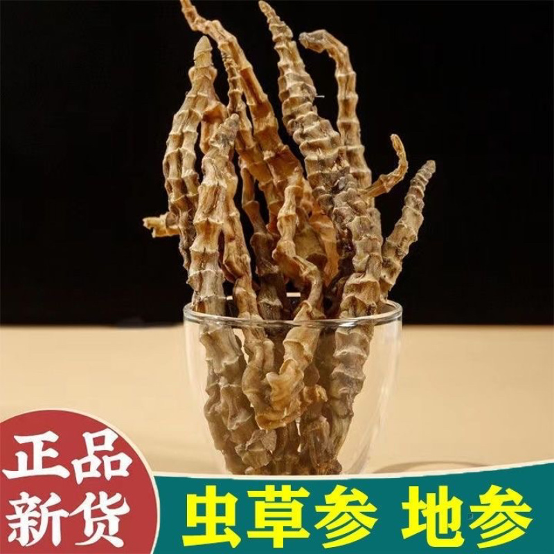 地参中药材虫草参干货批发