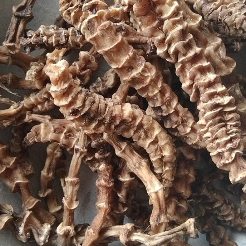 地参中药材虫草参干货批发