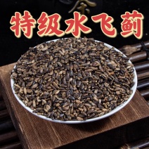 水飞蓟籽新货正宗优质水飞蓟优质水飞蓟奶蓟水飞蓟