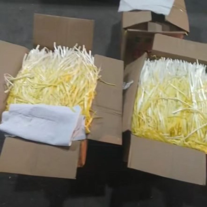 精品丰县韭黄地窖韭黄