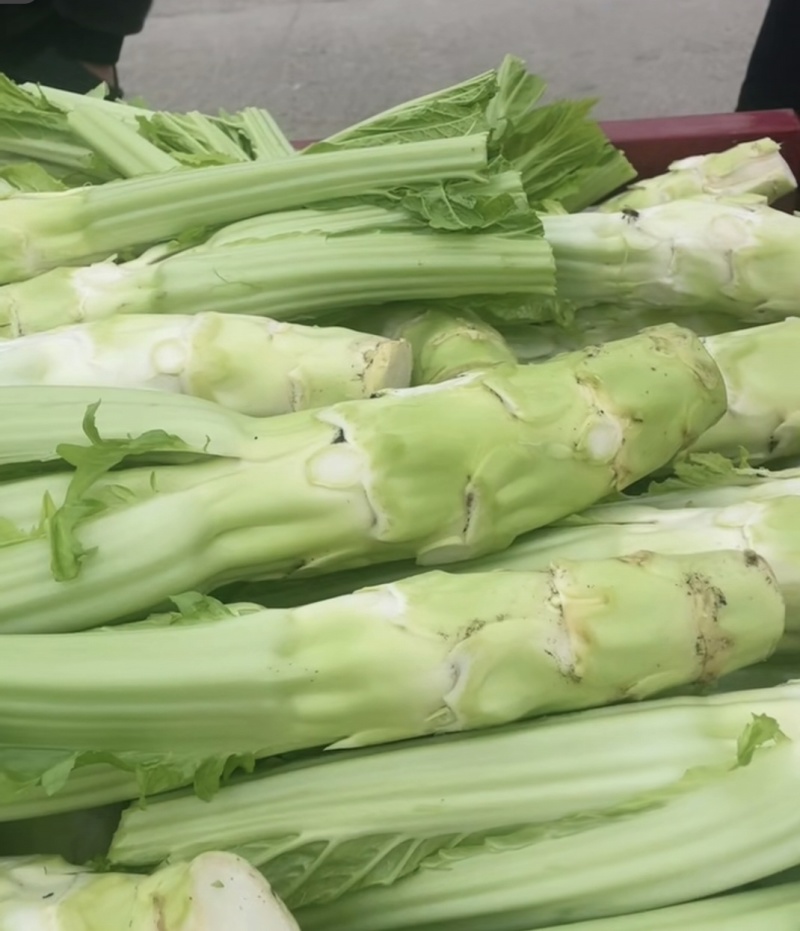 【优选】四川特色棒菜棒棒菜便宜处理欢迎各位老板来电