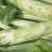 【优选】四川特色棒菜棒棒菜便宜处理欢迎各位老板来电