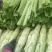 【优选】四川特色棒菜棒棒菜便宜处理欢迎各位老板来电