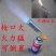 高端耐高温卡式喷火枪烘焙神器高温火焰枪360度旋转可
