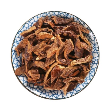 骨碎补中药材天然骨碎补