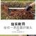 新款长柄一体小锄头家用花园阳台小花锄种菜种花小锄头