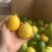 精品广东香水柠檬黄果