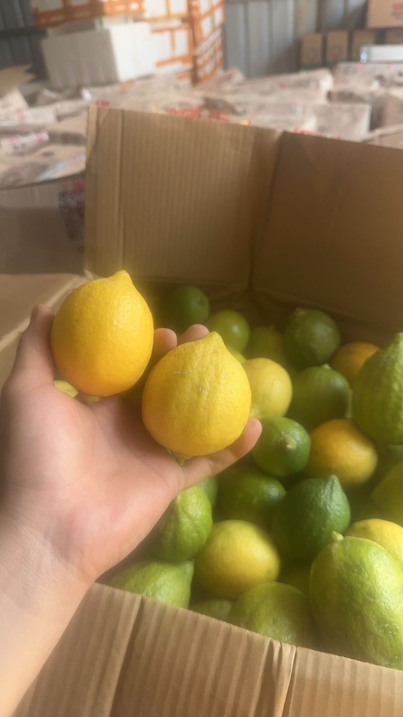 精品广东香水柠檬黄果