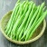 【超低价】云南优质四季豆扁芸豆豆角新鲜四季豆新鲜便宜蔬菜