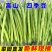 【超低价】云南优质四季豆扁芸豆豆角新鲜四季豆新鲜便宜蔬菜