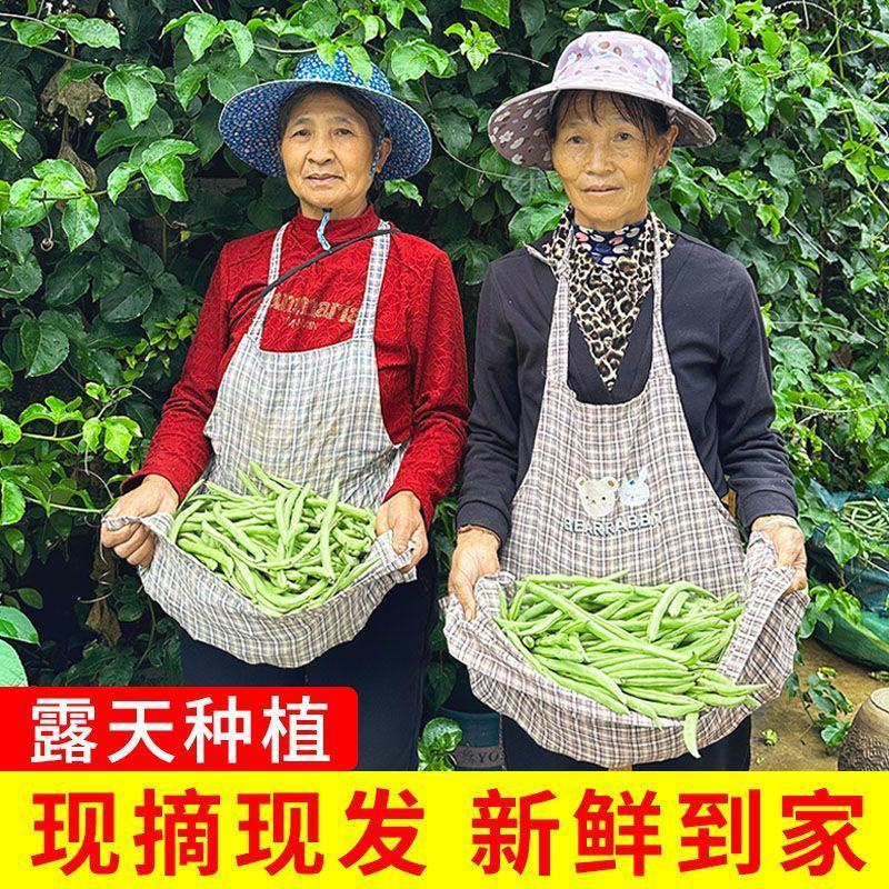 【超低价】云南优质四季豆扁芸豆豆角新鲜四季豆新鲜便宜蔬菜