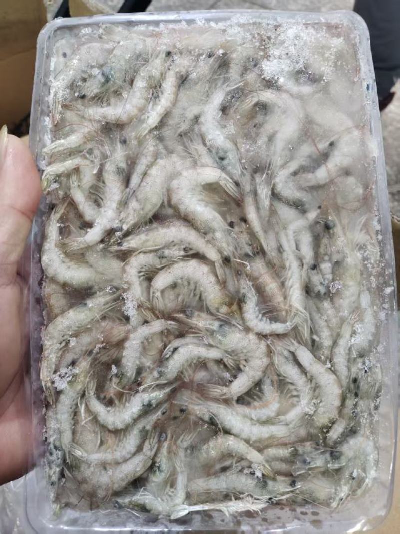 小基围虾