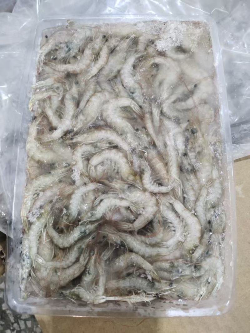 小基围虾