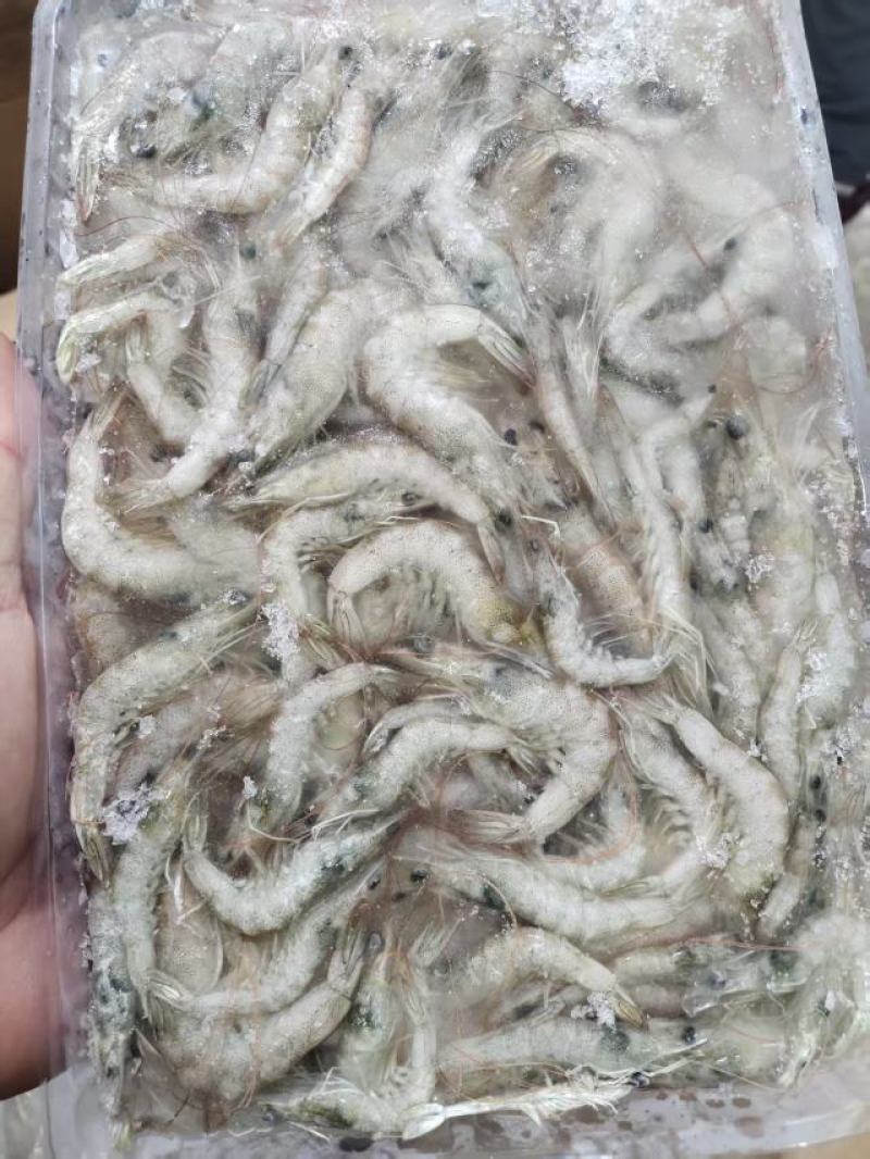 小基围虾