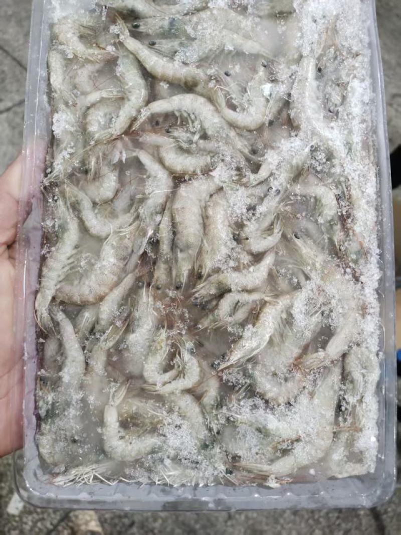小基围虾