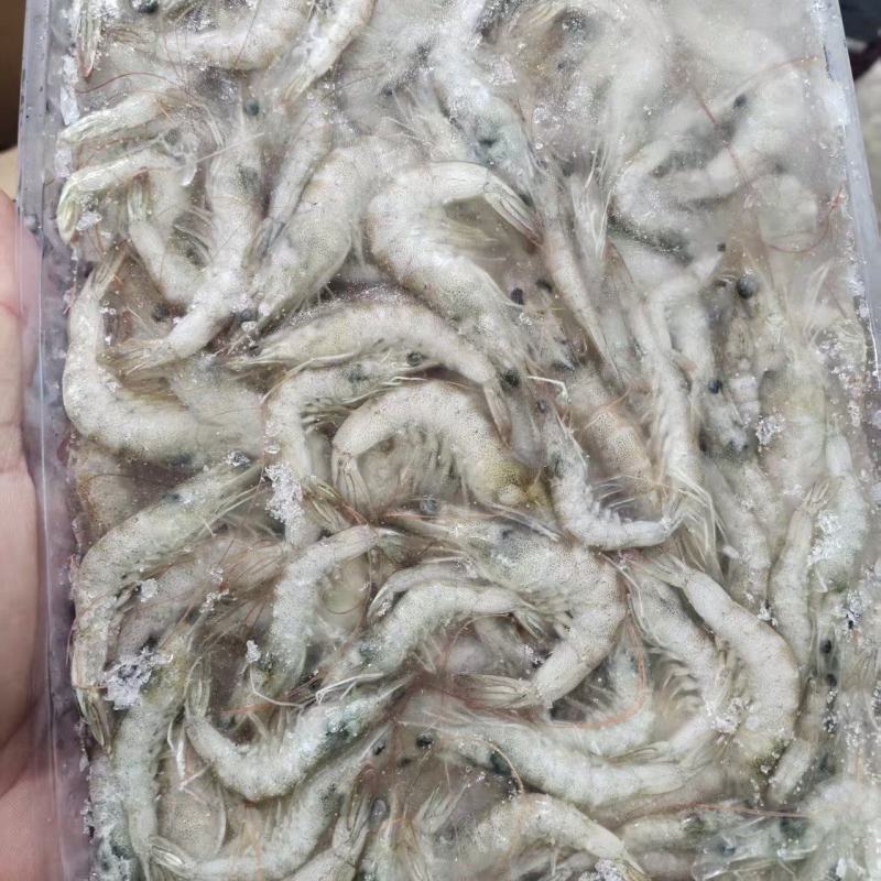 小基围虾